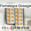 Femalegra Dosage levitra2